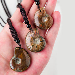 Natural Ammonite Fossil Snail Pattern Meditation Healing Necklace Pendant