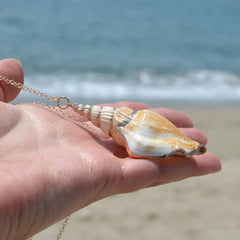 Natural Conch Shell Lucky Necklace Pendant